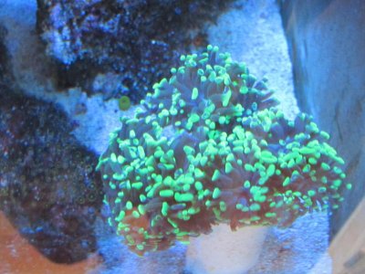 pic3.jpg