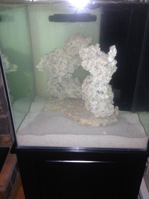 Tony's Iphone 025.jpg