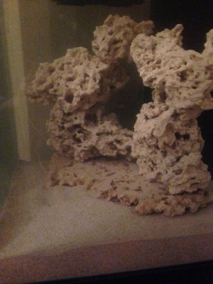 Tony's Iphone 026.jpg