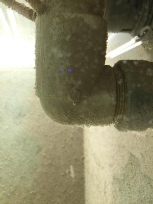 ImageUploadedByTapatalk1424588290.425608.jpg