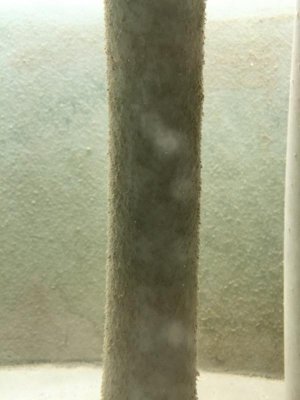 ImageUploadedByTapatalk1424588298.791836.jpg