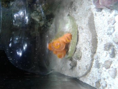 20150221_180435.jpg