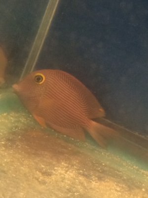 FullSizeRender (5).jpg