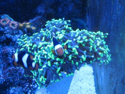 pic5.jpg