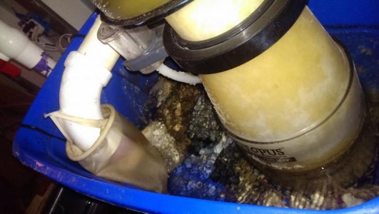 uploadfromtaptalk1424664157842.jpg uploadfromtaptalk1424664157842.jpg