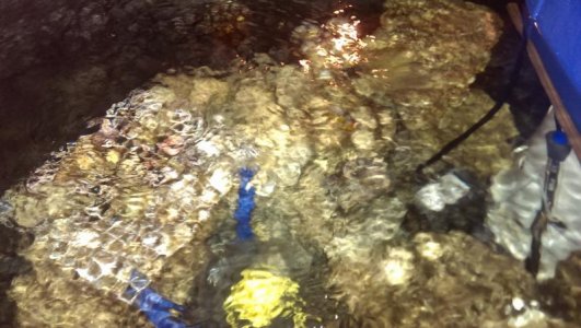 uploadfromtaptalk1424664168487.jpg uploadfromtaptalk1424664168487.jpg