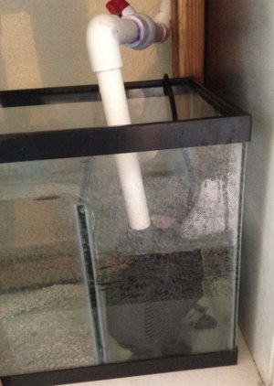 Screen Shot 2015-02-22 at 11.13.21 PM.jpg