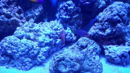 20150223_175236.jpg