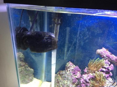 ImageUploadedByTapatalk1424784213.270533.jpg ImageUploadedByTapatalk1424784213.270533.jpg