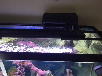 ImageUploadedByTapatalk1424784225.907933.jpg ImageUploadedByTapatalk1424784225.907933.jpg