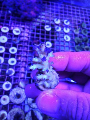 uploadfromtaptalk1424798588745.jpg uploadfromtaptalk1424798588745.jpg