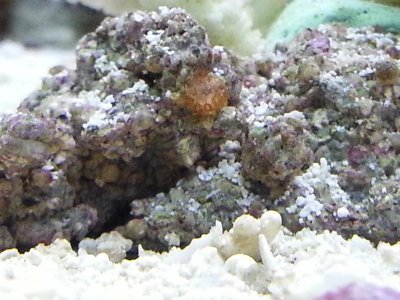 20150224_132042.jpg