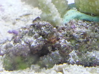 20150224_130212.jpg