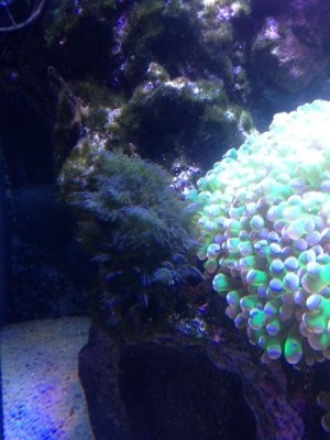 photo 1.jpg