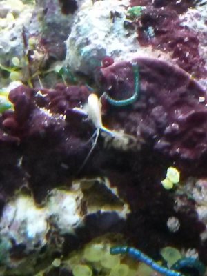 20150225_053737.jpg
