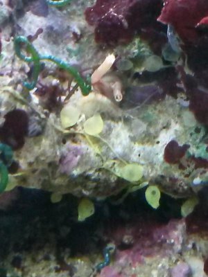 20150225_053753.jpg