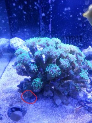 20150222_143425.jpg