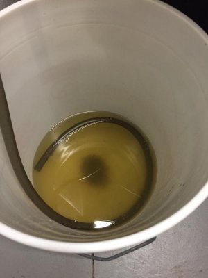 ImageUploadedByTapatalk1425126924.139483.jpg