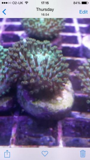 ImageUploadedByTapatalk1425143781.316566.jpg ImageUploadedByTapatalk1425143781.316566.jpg