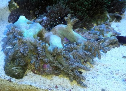 2015-02-28 17.46.24.jpg