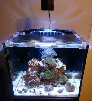 rc 50gal cube.jpg