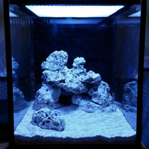 Aquascape1.jpg