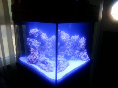20150322_184455.jpg