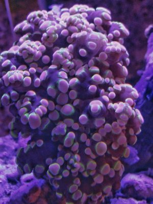0301151359b~2.jpg