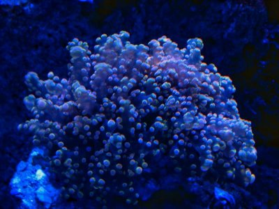 0301151814~2.jpg