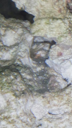 20150301_231131.jpg