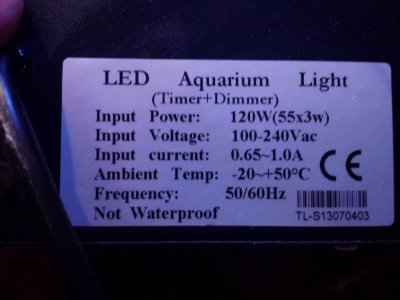 20150228_154218.jpg