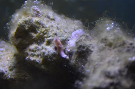 DSC_0105.jpg