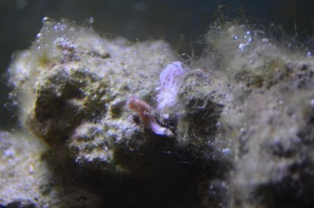 DSC_0104.jpg