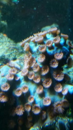 2015-03-02 15.04.36.jpg