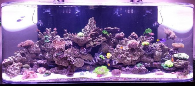 Tank 27 Jan 15 - Sized.jpg