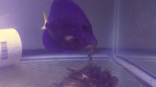 2015-03-25 07.11.25.jpg