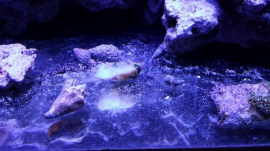 20150325_092244 (1).jpg