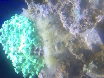 IMG_0928[1].jpg