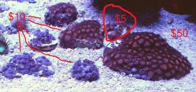 2015-03-24 09.12.06.jpg