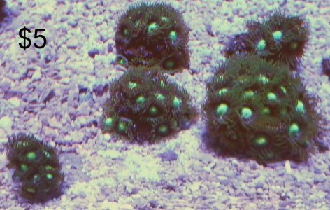 2015-03-24 09.14.55.jpg