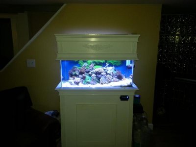 uploadfromtaptalk1425583970334.jpg uploadfromtaptalk1425583970334.jpg