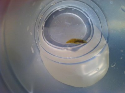 2013-06-13 13.04.40.jpg