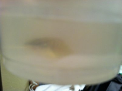 2013-06-13 13.04.53.jpg