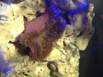 IMG_0976.jpg IMG_0976.jpg