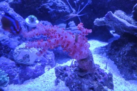 DSC_1789m.jpg