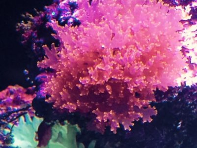 FullSizeRender (78).jpg