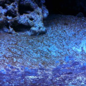 ImageUploadedByTapatalk1425853975.012318.jpg ImageUploadedByTapatalk1425853975.012318.jpg