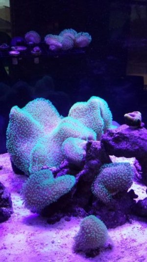 20150309_125047.jpg
