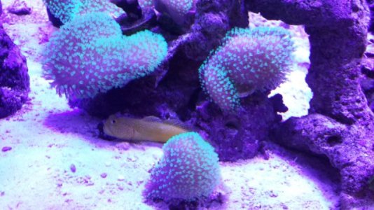 20150309_130825.jpg