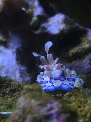 ImageUploadedByTapatalk1427954519.502191.jpg